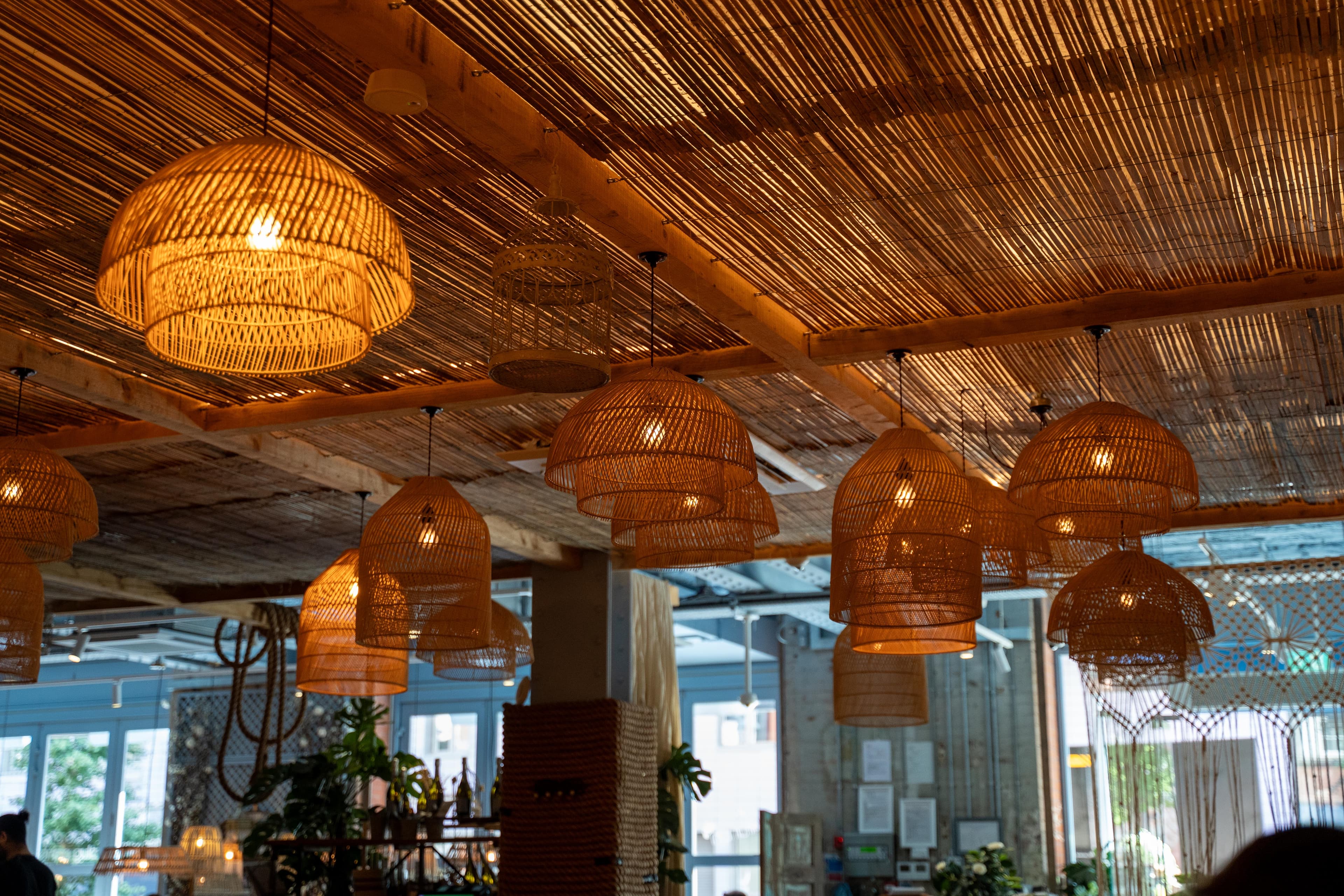 EC Language School - Image 17