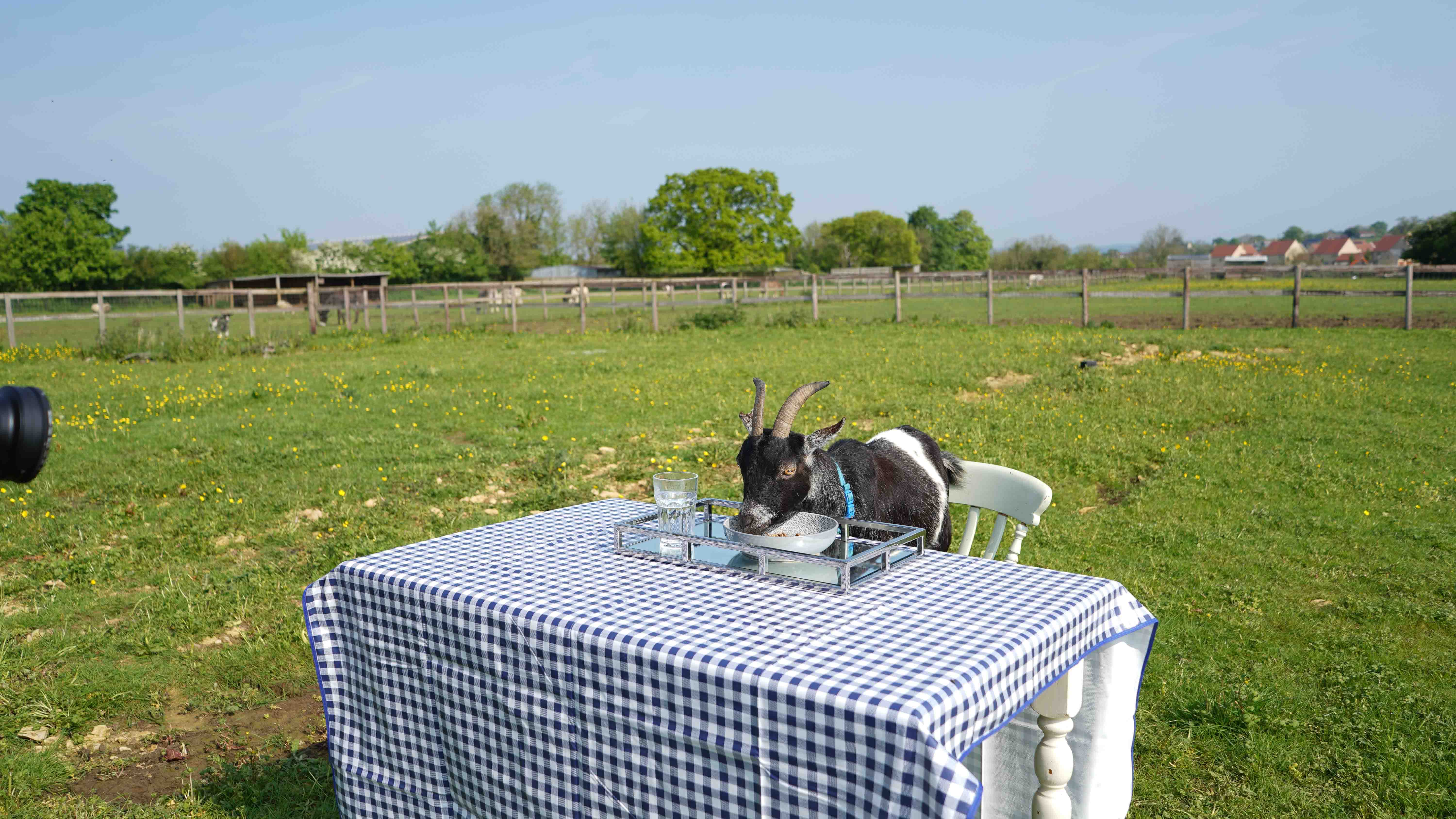 GER (Global Ehsan Relief) - Image 2