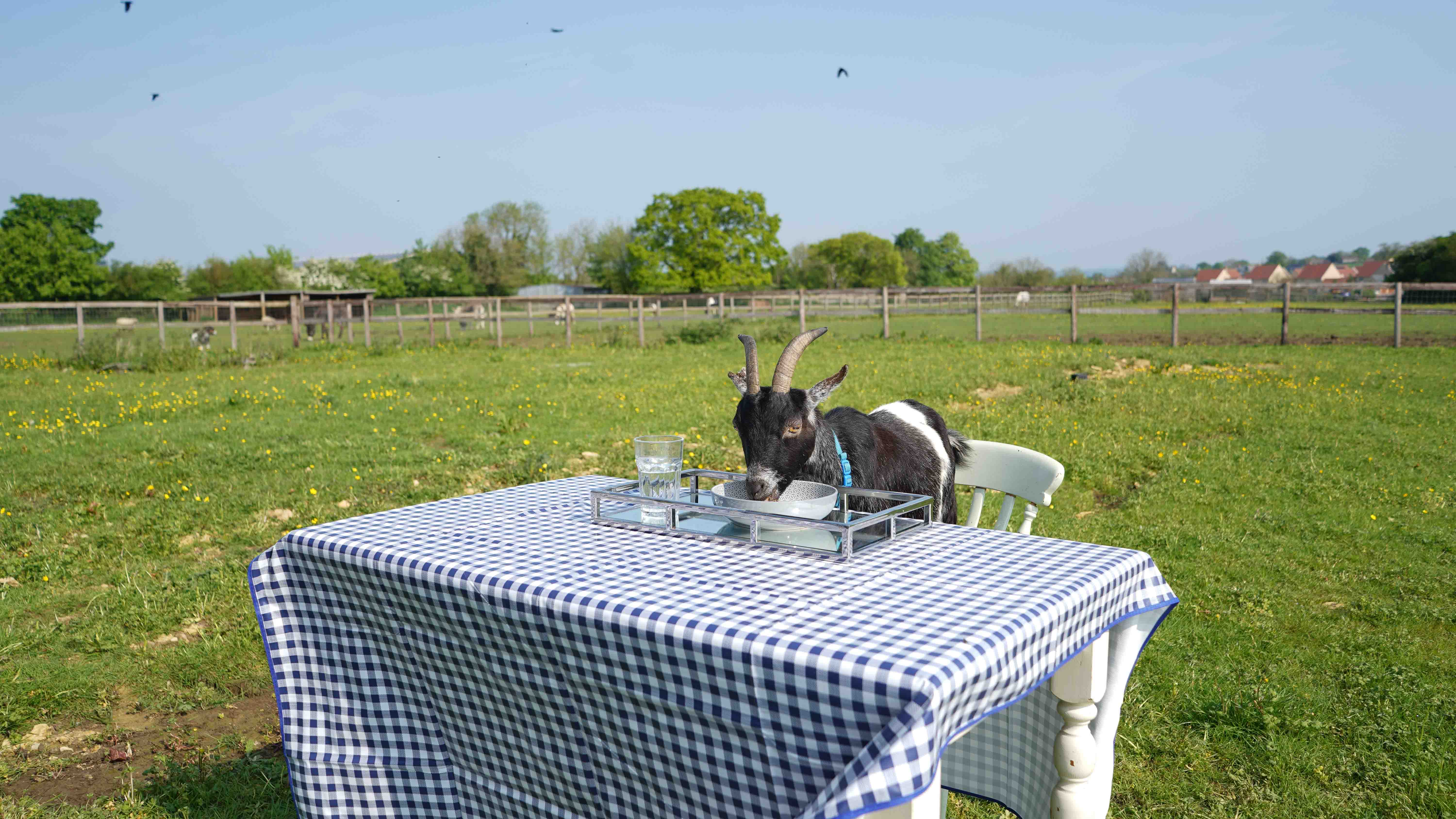 GER (Global Ehsan Relief) - Image 3