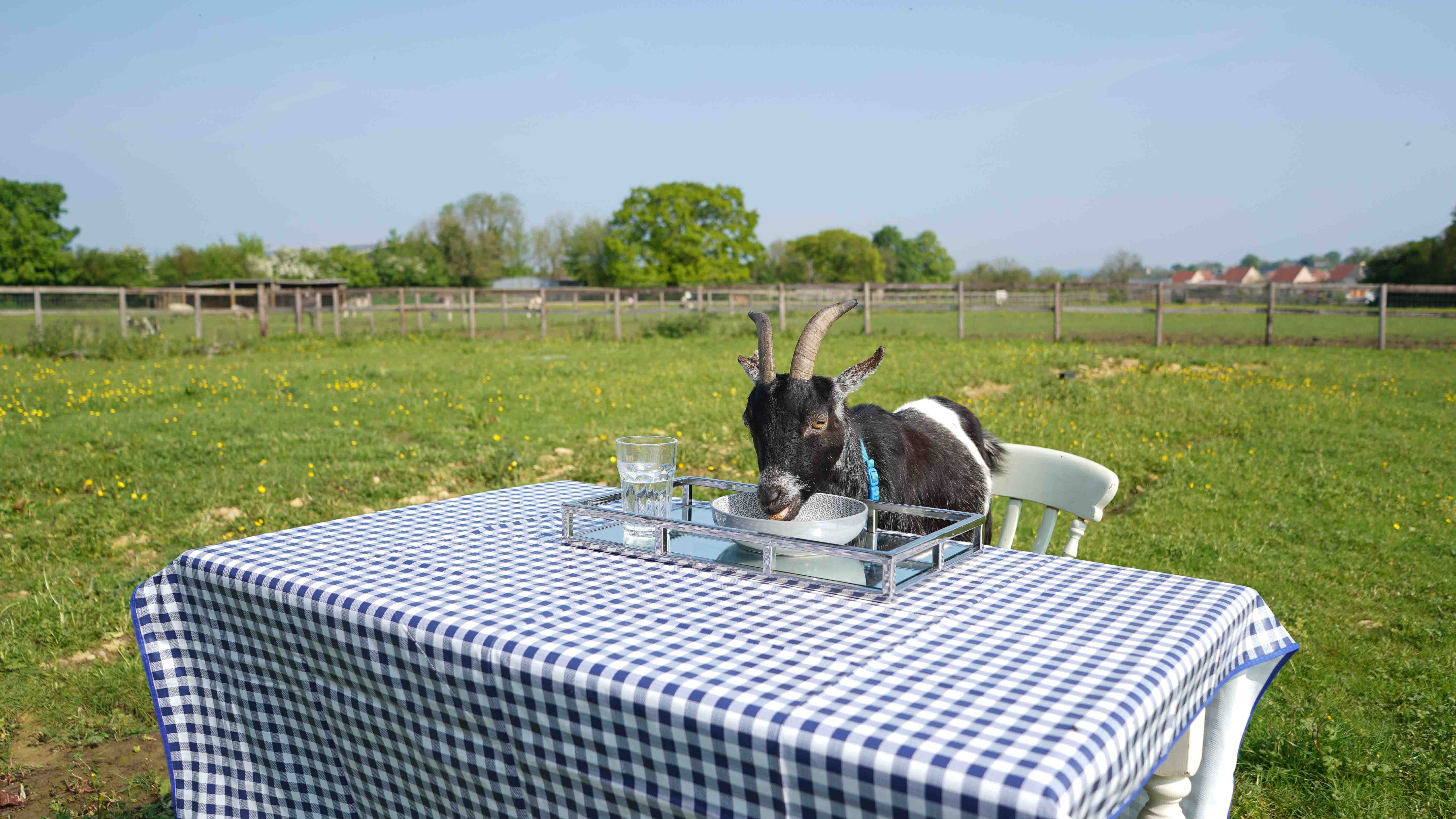 GER (Global Ehsan Relief) - Image 5