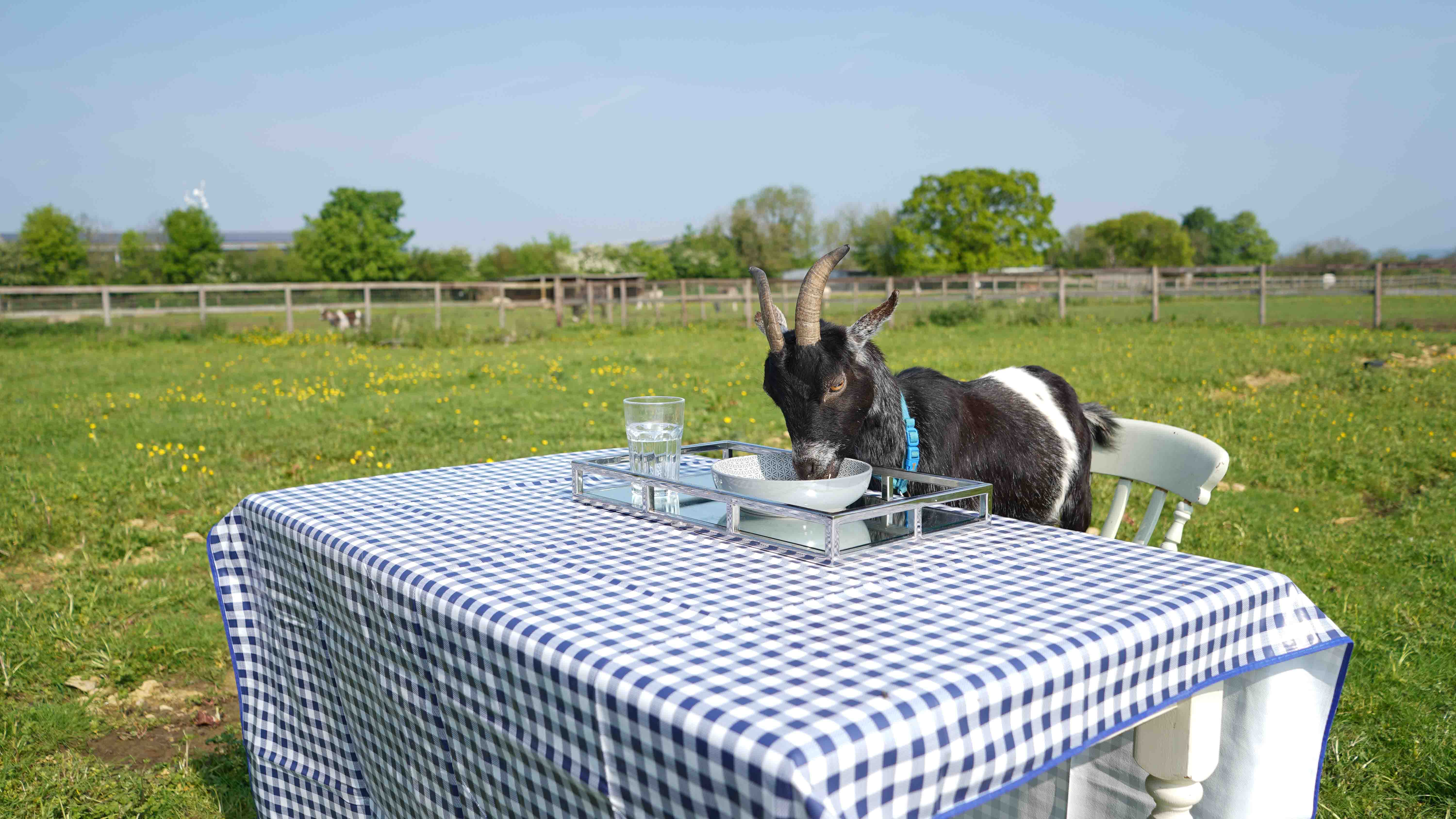 GER (Global Ehsan Relief) - Image 6