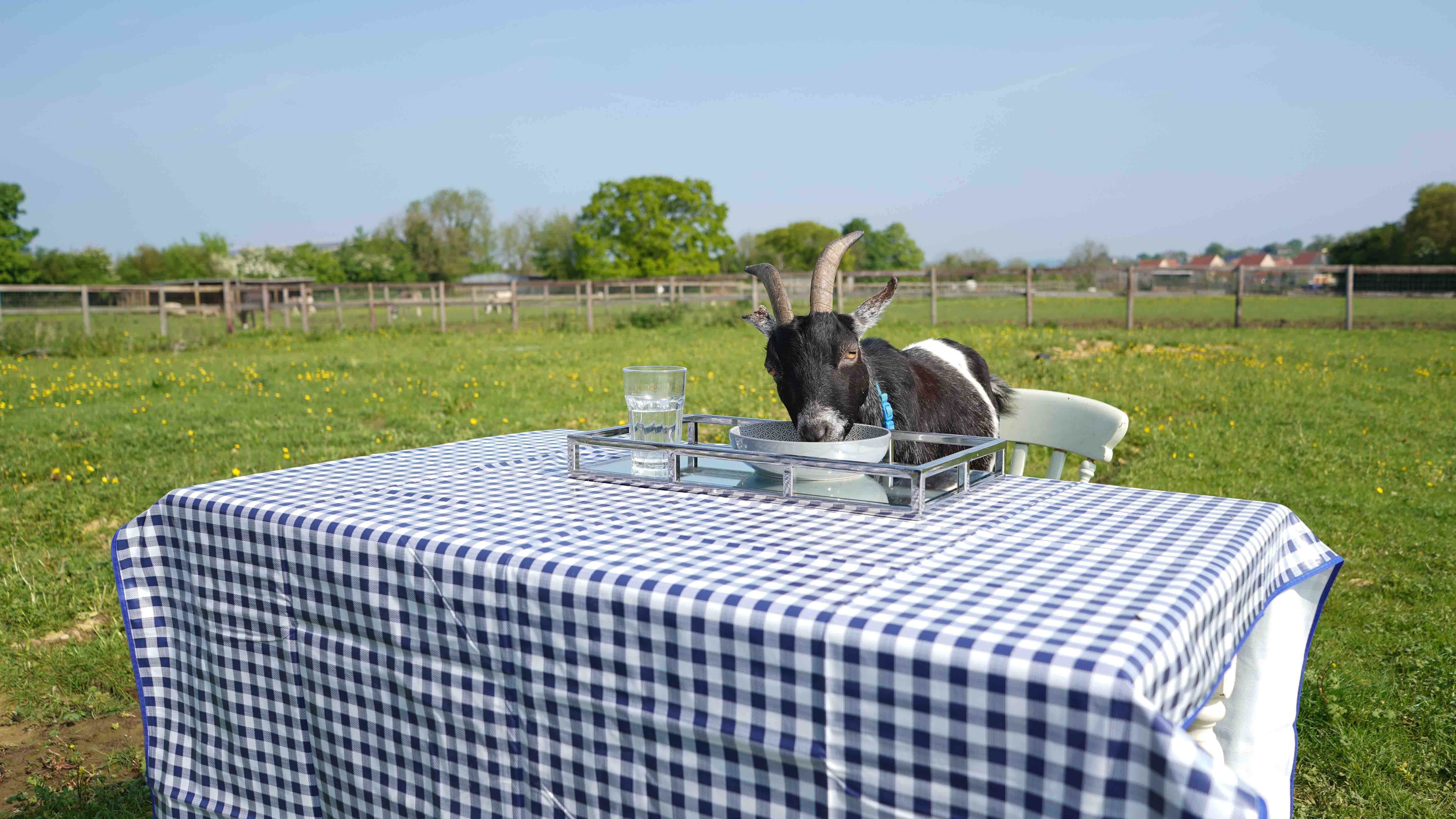 GER (Global Ehsan Relief) - Image 8