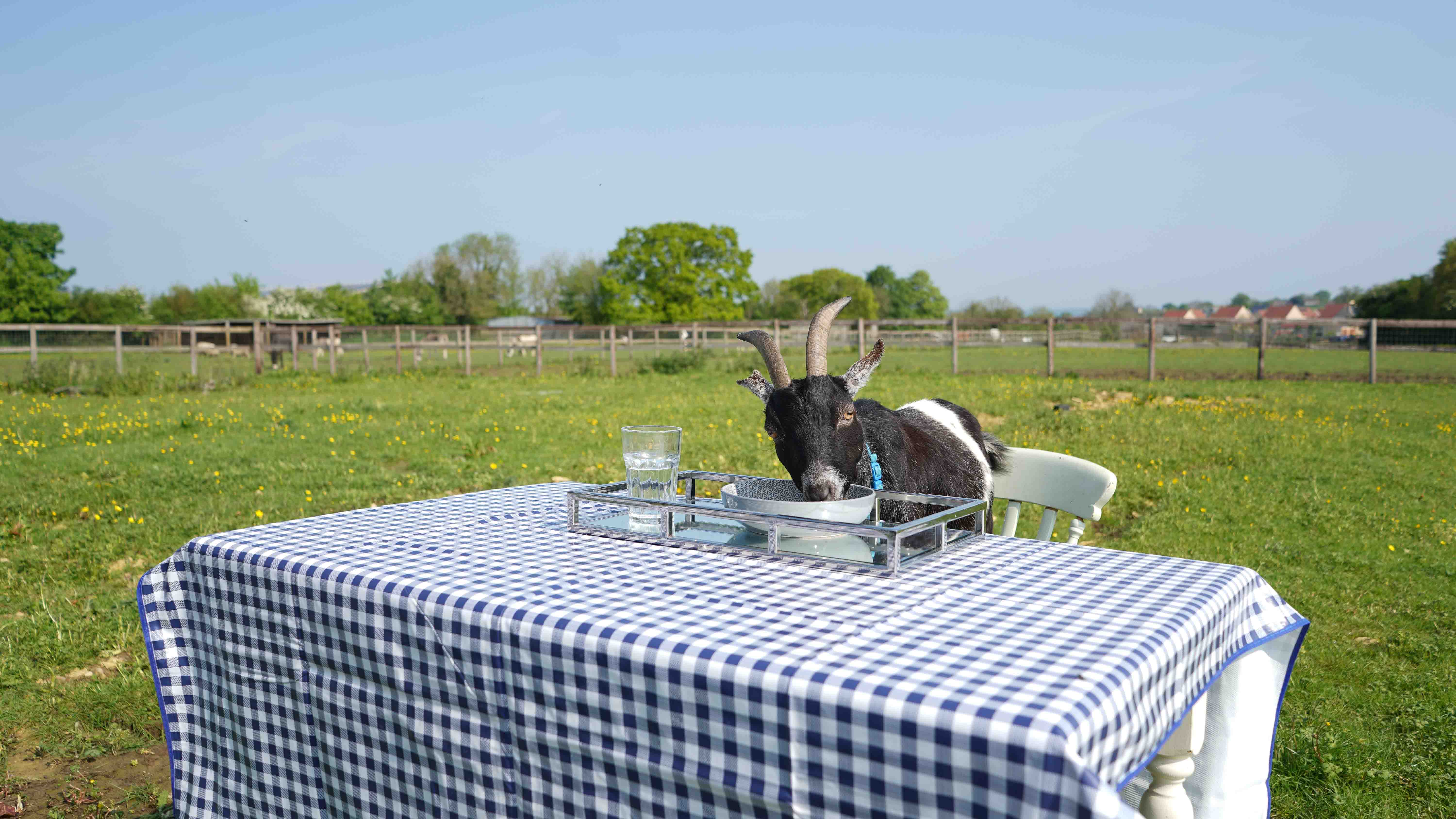 GER (Global Ehsan Relief) - Image 9