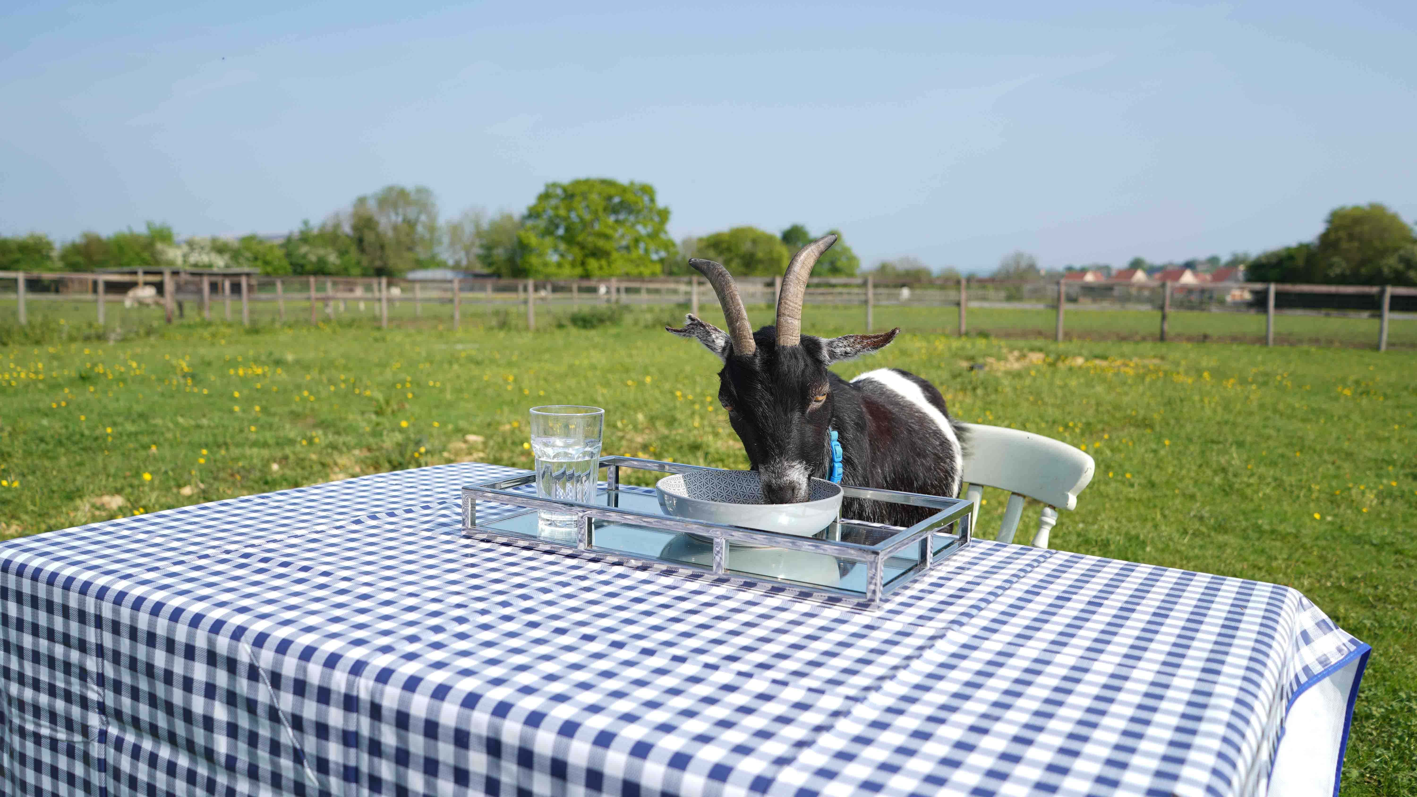 GER (Global Ehsan Relief) - Image 15