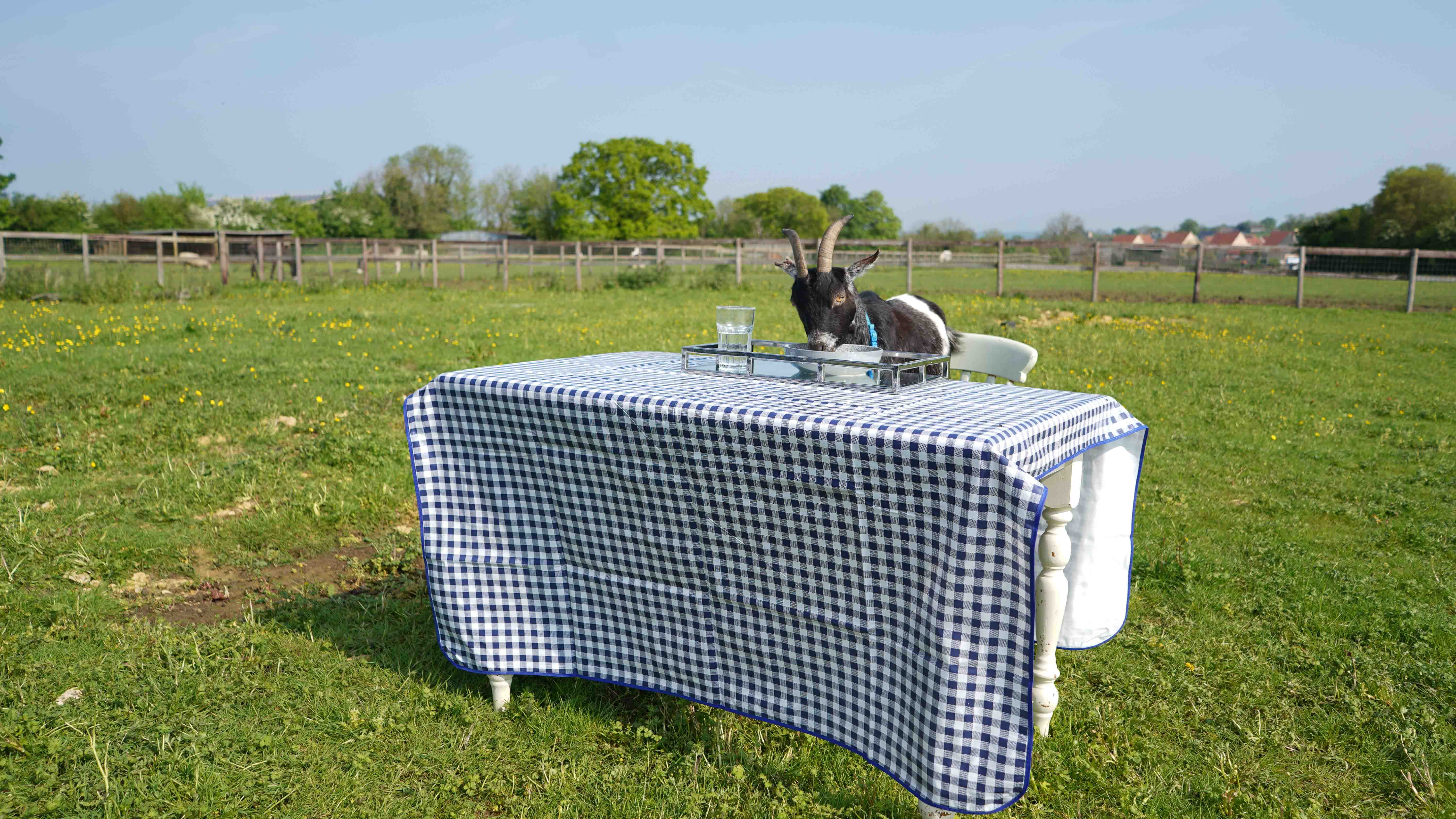 GER (Global Ehsan Relief) - Image 18