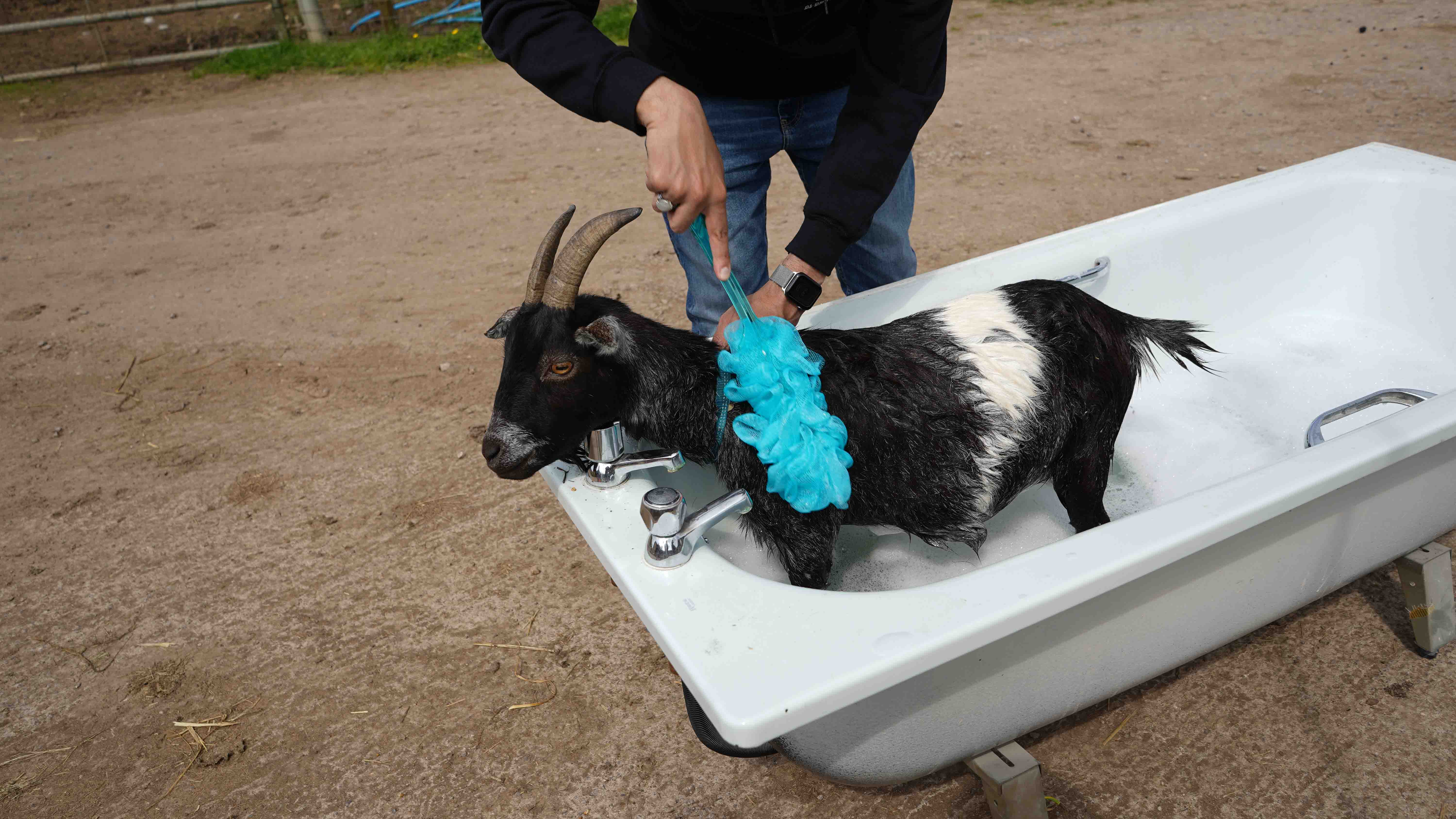 GER (Global Ehsan Relief) - Image 63