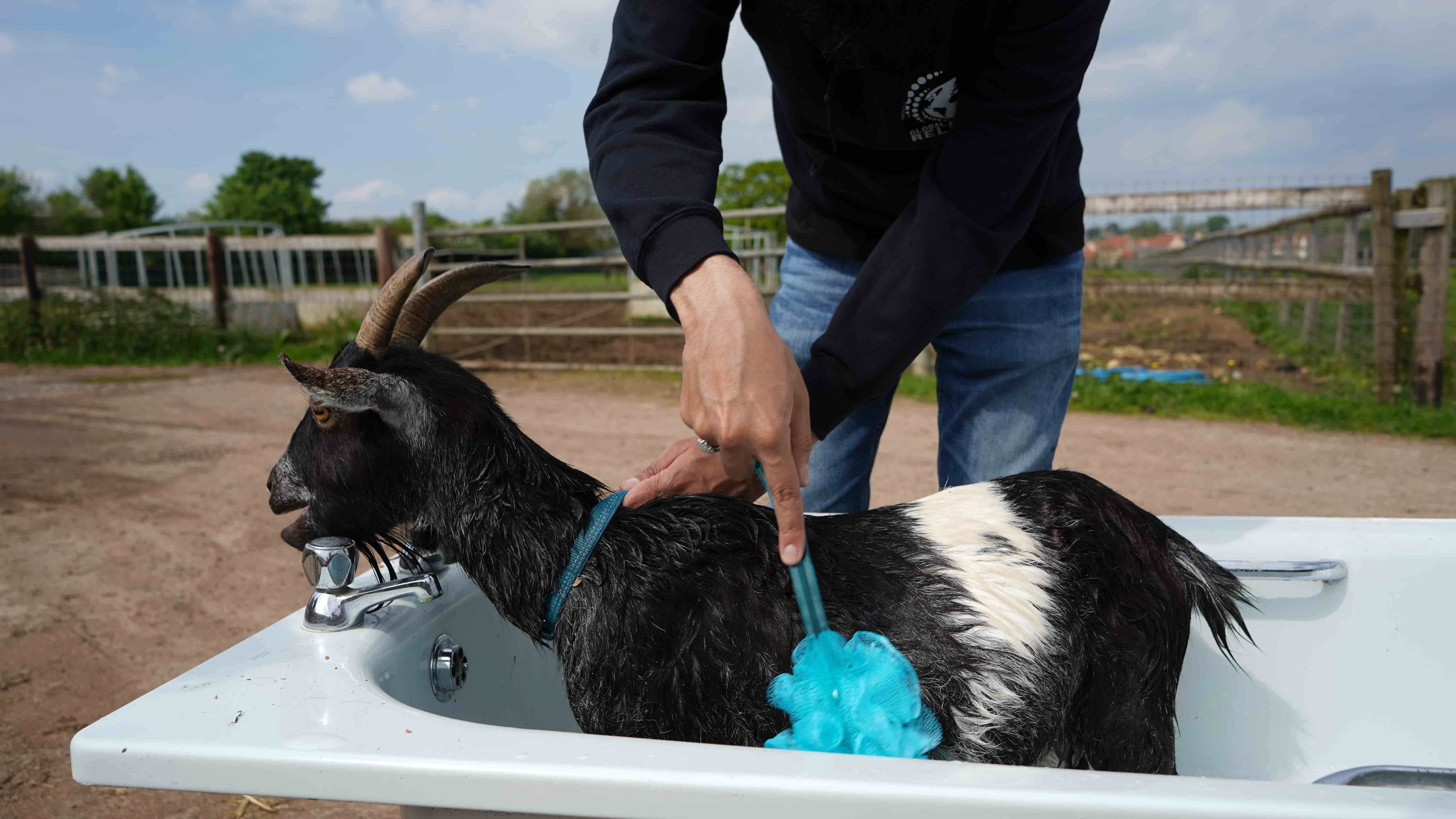 GER (Global Ehsan Relief) - Image 76