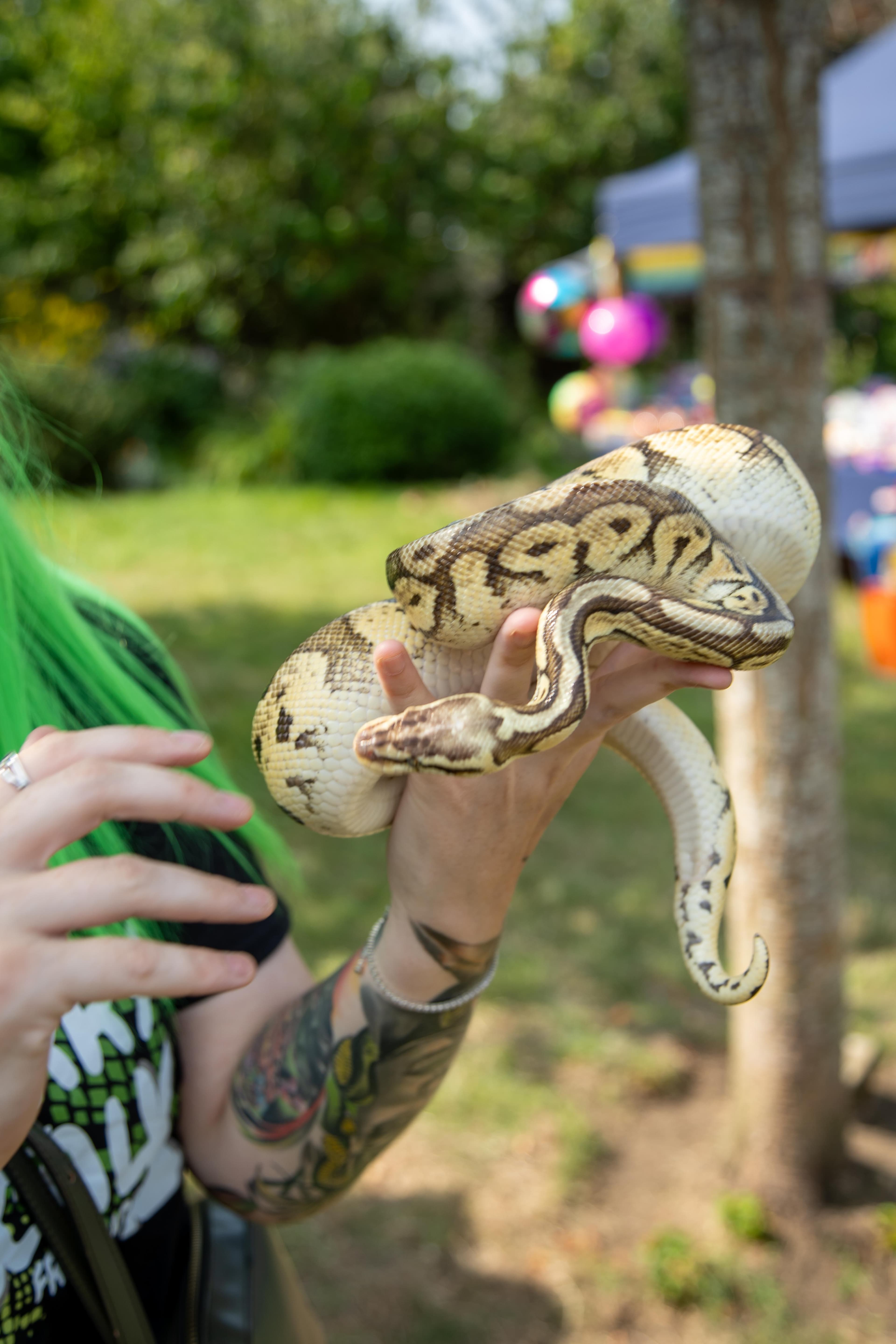 Furry and Scaly Friends - Image 7