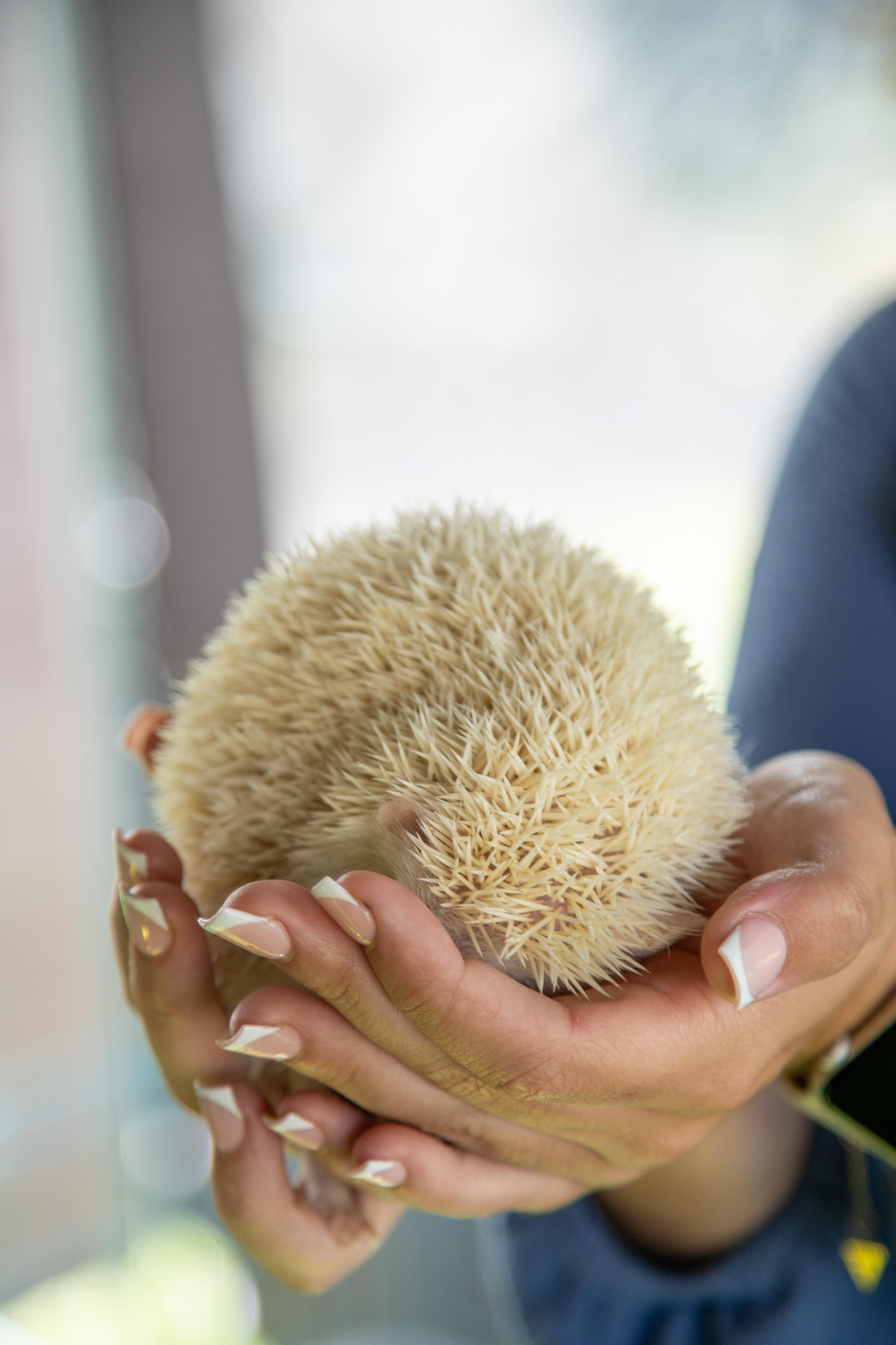 Furry and Scaly Friends - Image 17